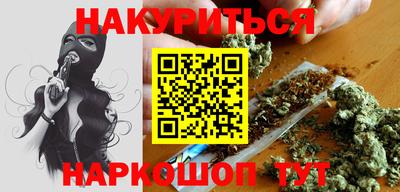 сатива Будённовск