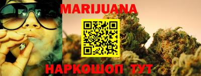 сатива Будённовск
