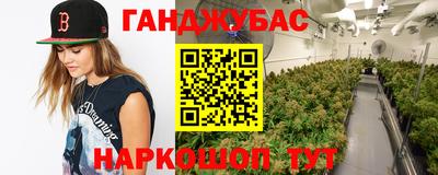 сатива Будённовск